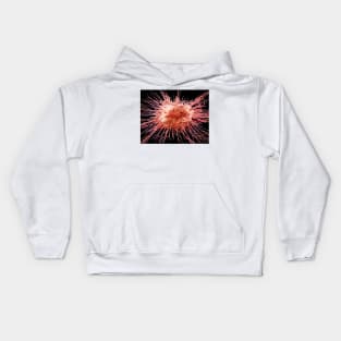 Dendritic cell, SEM (C028/8789) Kids Hoodie